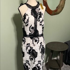 Alexia Admor Black and White Sheath Midi Dress